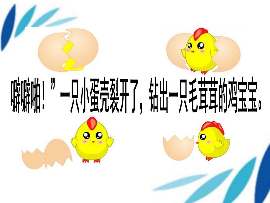 中班语言《小蛋壳》PPT课件教案中班语言-小蛋壳课件.ppt_第2页