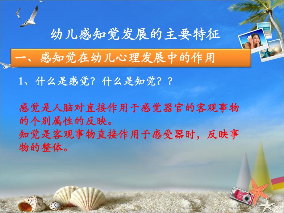 幼儿园培训教研活动幼儿的感知觉ppt课件幼儿园培训教研活动幼儿的感知觉ppt课件.ppt_第3页