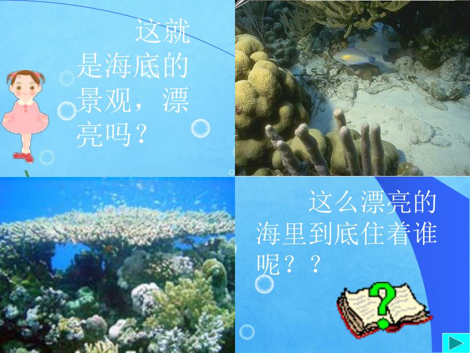 小班科学活动《海洋动物》PPT课件小班科学活动海洋动物.ppt_第2页