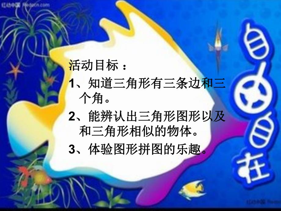 小班科学活动《热带鱼》PPT课件教案PPT课件.ppt_第2页