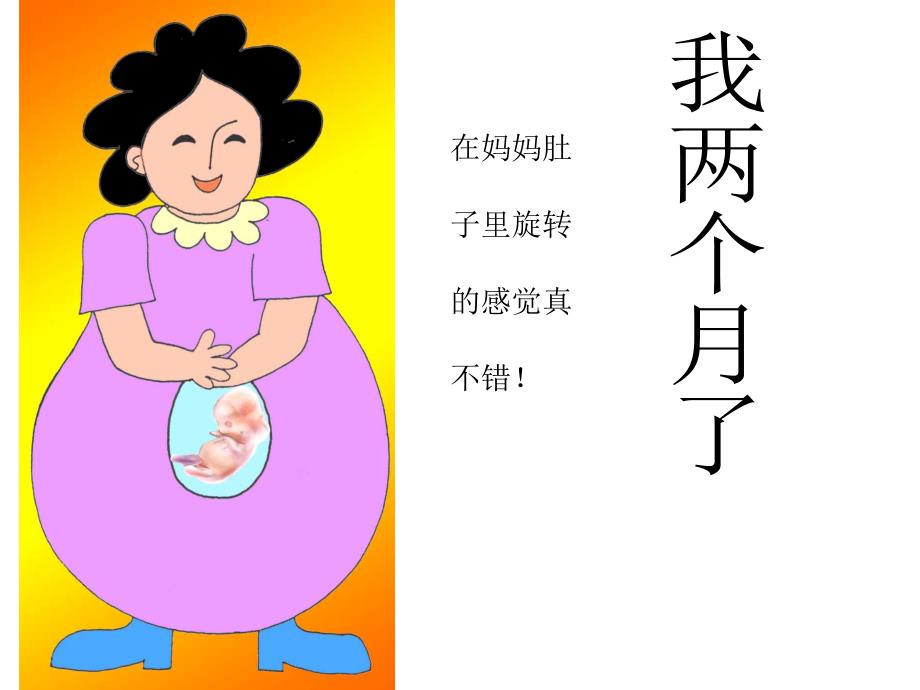 小班美术《妈妈肚子里的我》PPT课件教案29.妈妈肚子里的我.ppt_第3页