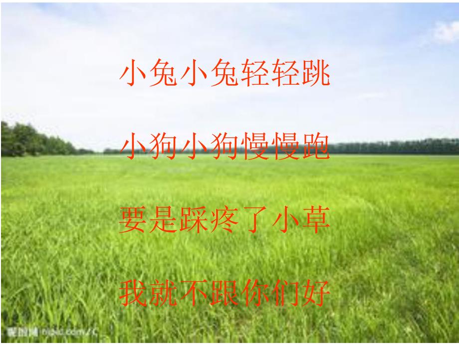 大班语言《轻轻地》PPT课件教案PPT课件.ppt_第2页