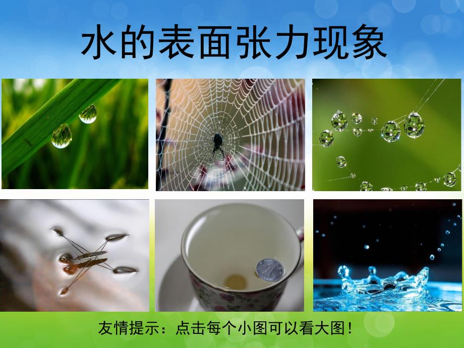 大班科学《水的表面张力》PPT课件教案PPT课件.ppt_第3页