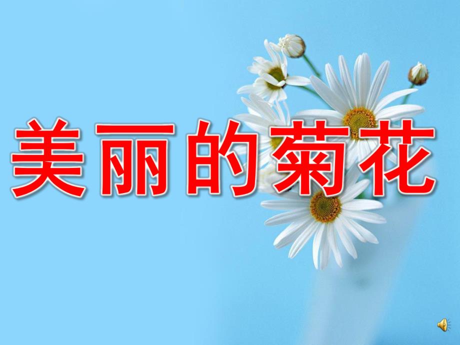 小班科学《美丽的菊花》PPT课件教案配音PPT课件.pptx_第1页