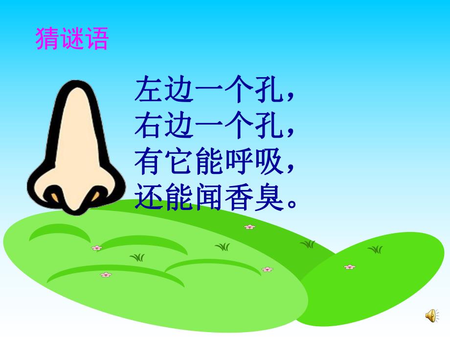 大班健康《鼻子的故事》PPT课件教案配音音乐ppt课件.pptx_第3页