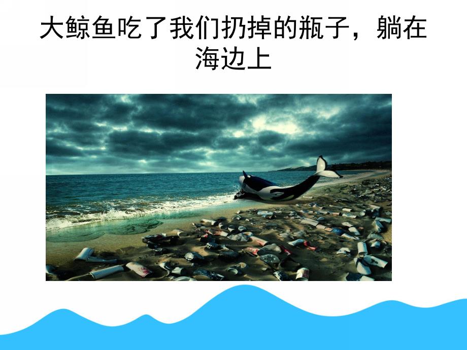 中班科学《保护海洋环境与海洋动物》PPT课件PPT课件.pptx_第3页