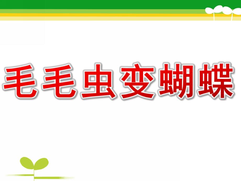 幼儿园活动《毛毛虫变蝴蝶》PPT课件教案毛毛虫变蝴蝶课件.pptx_第1页