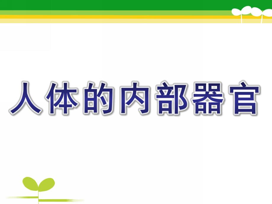 幼儿园主题《人体的内部器官》PPT课件幼儿园主题课：人体的内部器官.ppt_第1页