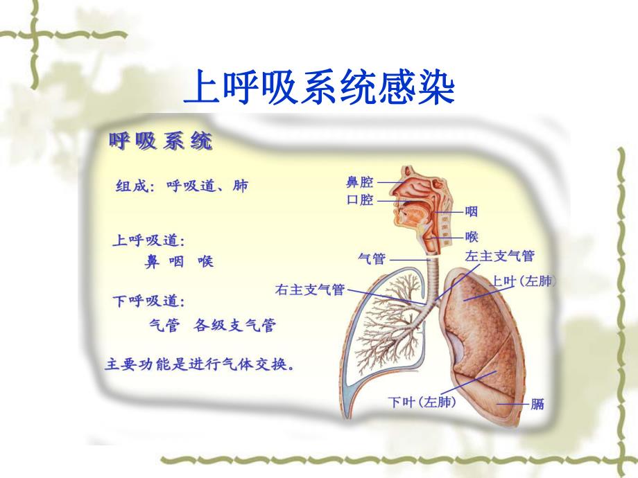 幼儿园常见的传染病PPT课件幼儿园常见传染病---课件.ppt_第2页