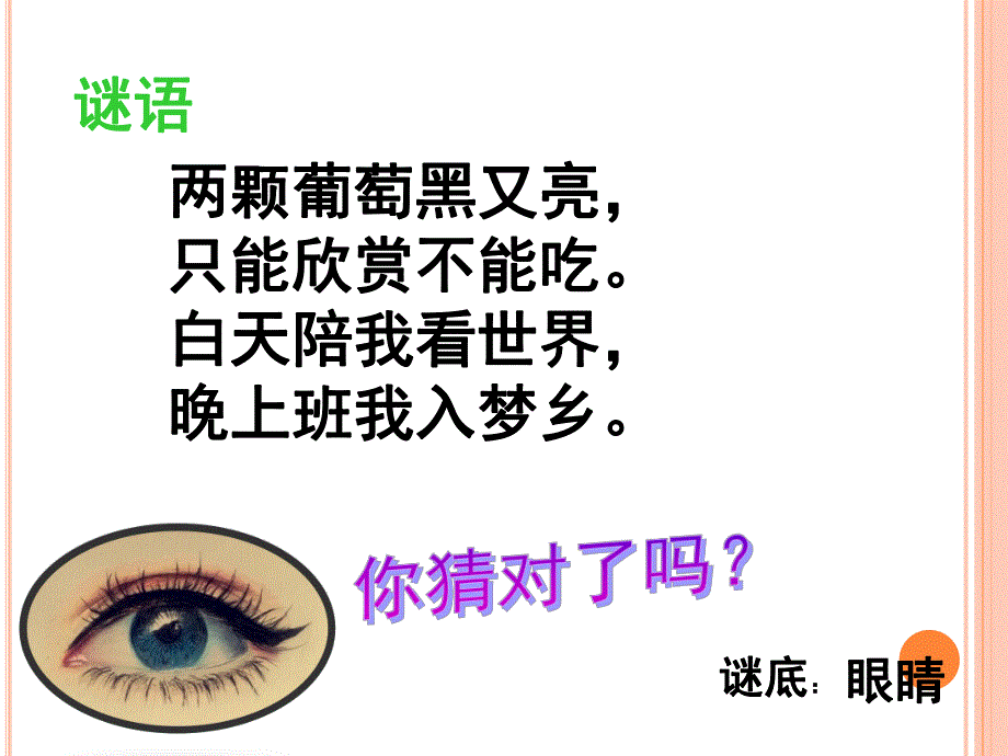 中班健康《保护我们的眼睛》PPT课件教案张滕轩公开课中班课件-保护我们的眼睛.pptx_第2页