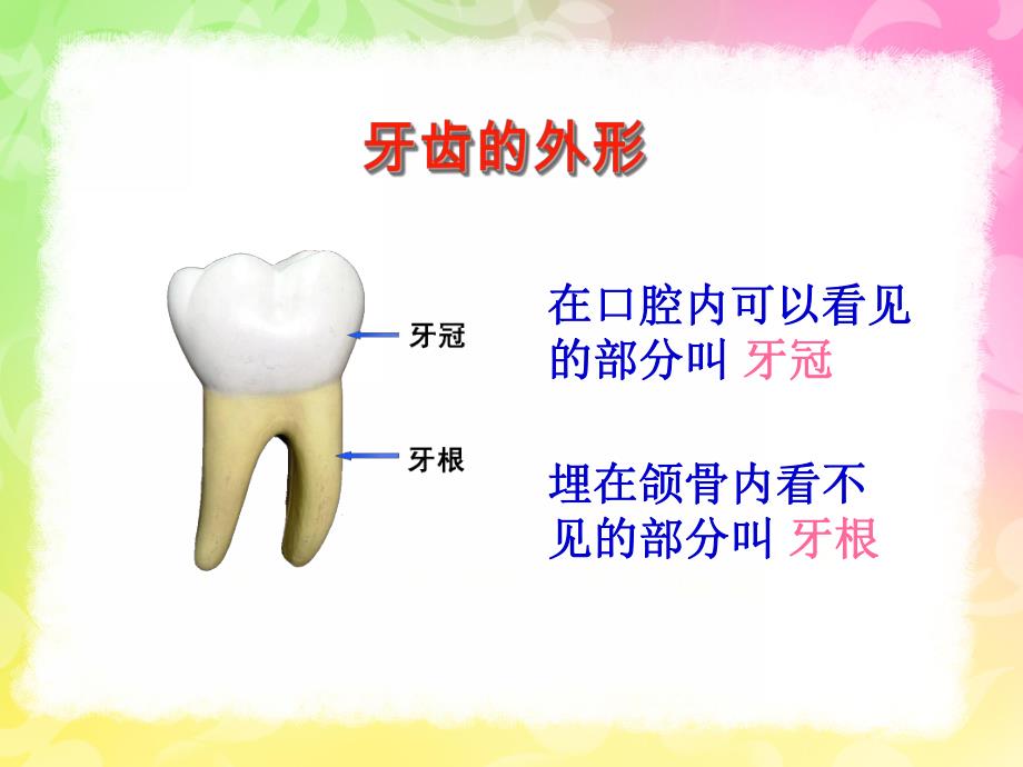 幼儿正确刷牙PPT课件幼儿正确刷牙ppt.ppt_第3页