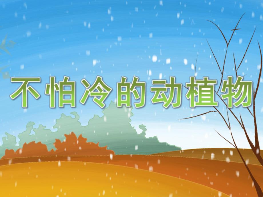 小班科学《不怕冷的动植物》PPT课件教案PPT课件.ppt_第1页