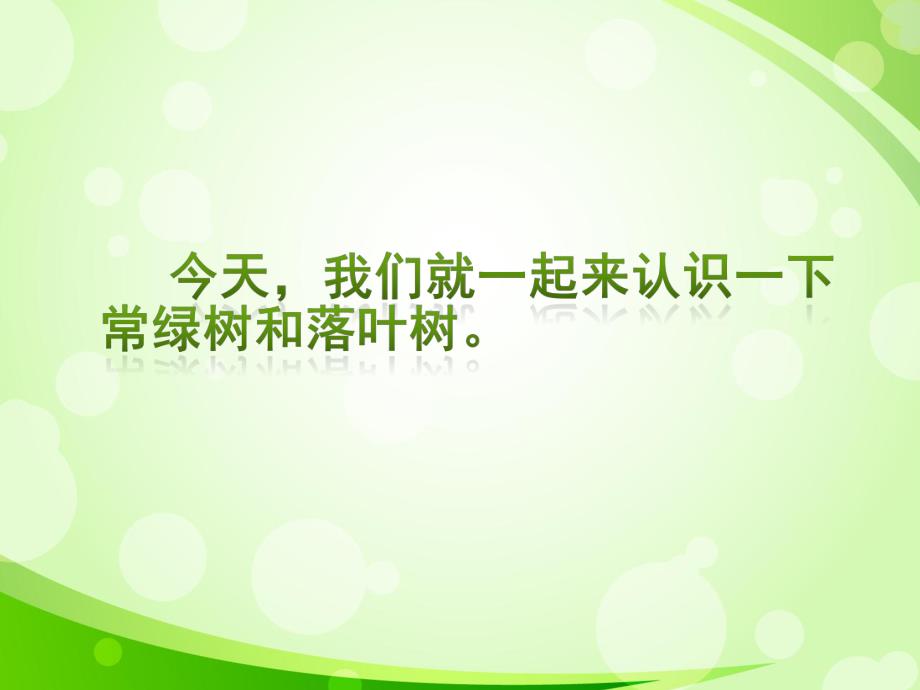 大班科学《常绿树和落叶树》PPT课件教案常绿树和落叶树.pptx_第3页