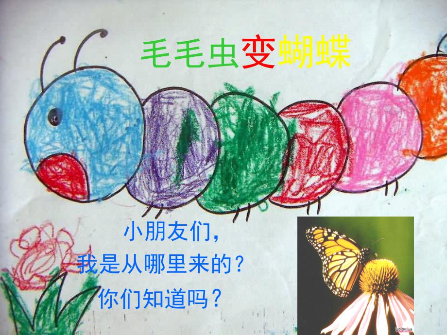 幼儿园活动《毛毛虫变蝴蝶》PPT课件教案毛毛虫变蝴蝶课件.ppt_第3页