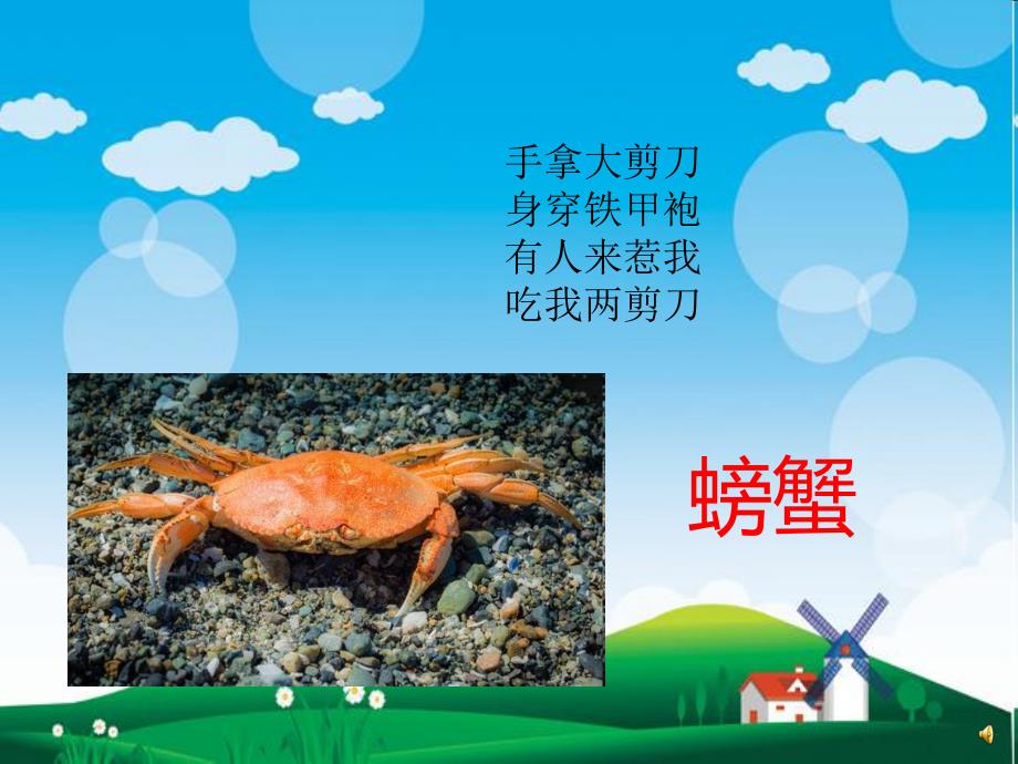 幼儿园动物儿歌《螃蟹》PPT课件配音音乐PPT课件.pptx_第2页