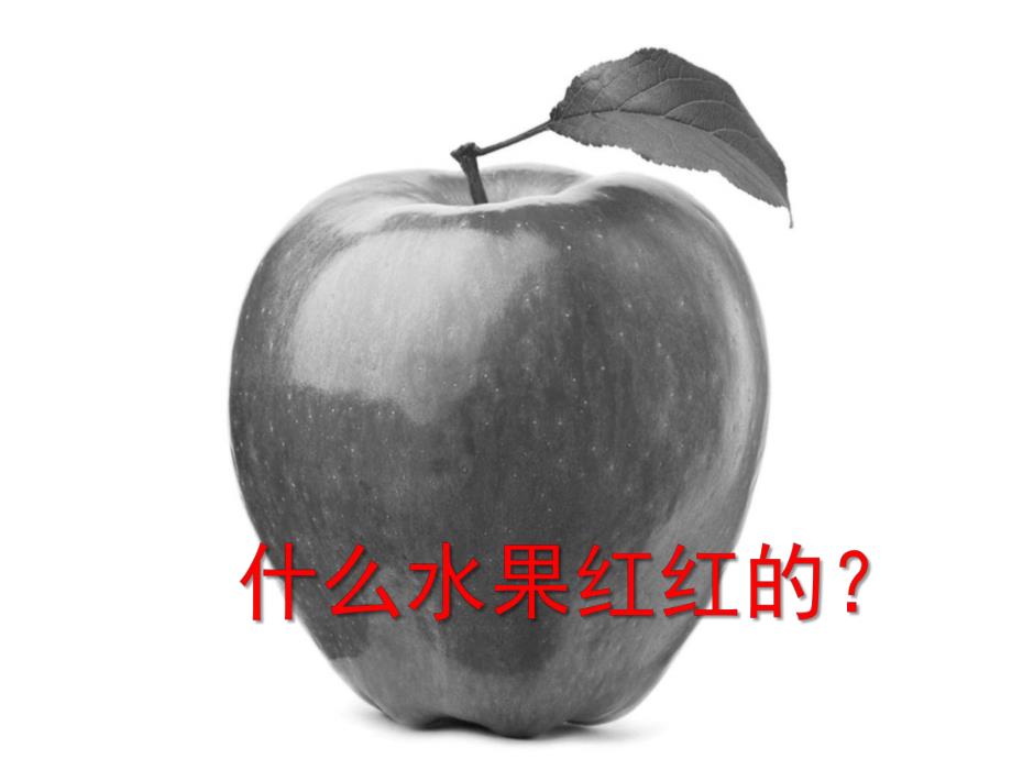 小班语言《水果歌》PPT课件教案歌曲PPT课件.ppt_第3页