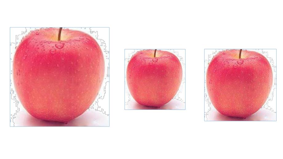 小班科学《大家一起排排队》PPT课件小班科学大家一起排排队.pptx_第2页