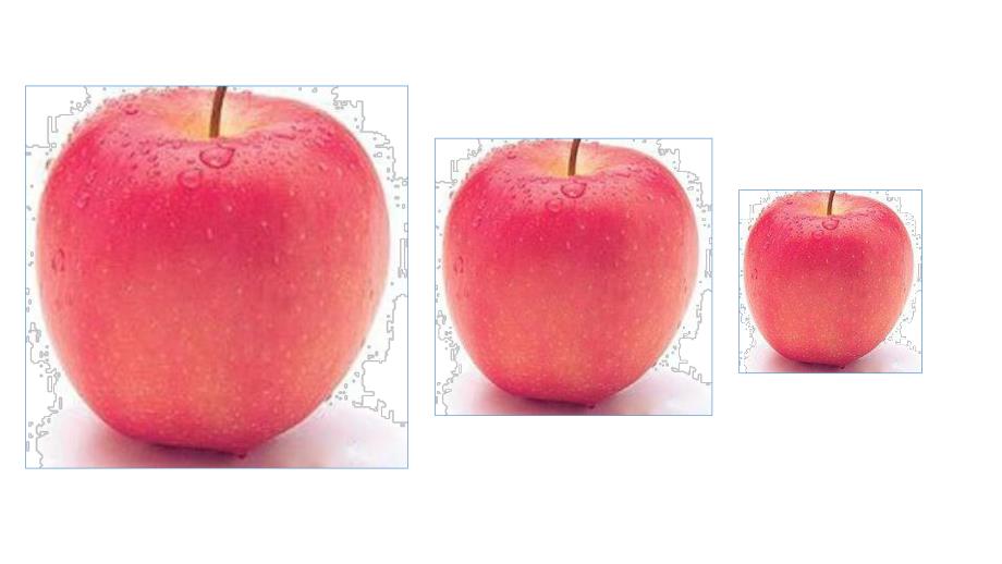 小班科学《大家一起排排队》PPT课件小班科学大家一起排排队.pptx_第3页