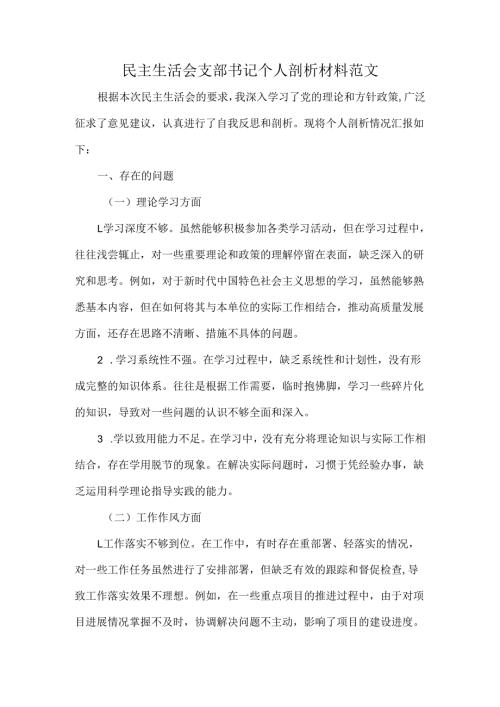 民主生活会支部书记个人剖析材料范文.docx